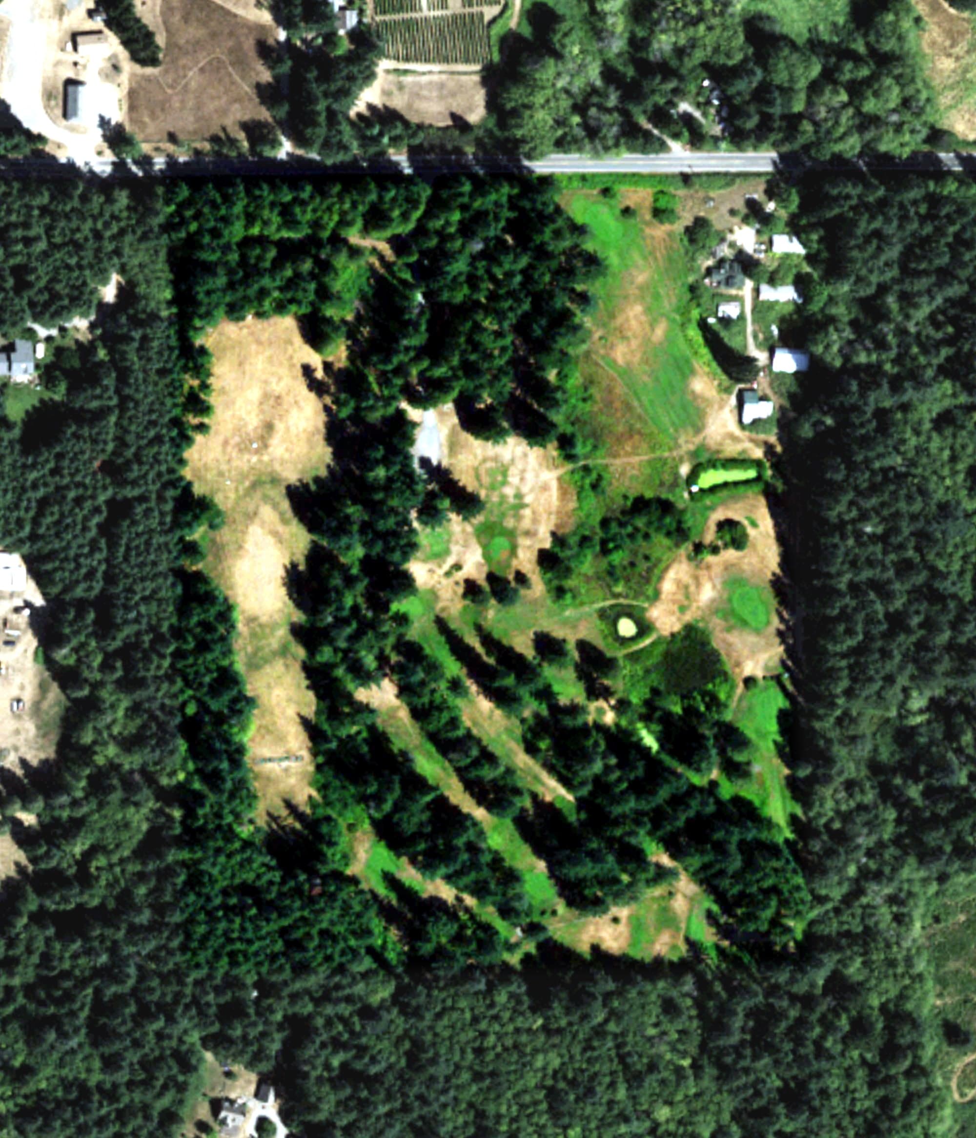 Aerial view of Island Greens, WA, with its hole routing marked